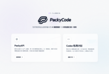 PackyCode 值不值得用？PackyAPI 网关、Codex 包月计划和适合人群