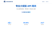 碳硅生命体 API 网关怎么样，适合拿来跑 Claude Code 和 Codex 吗